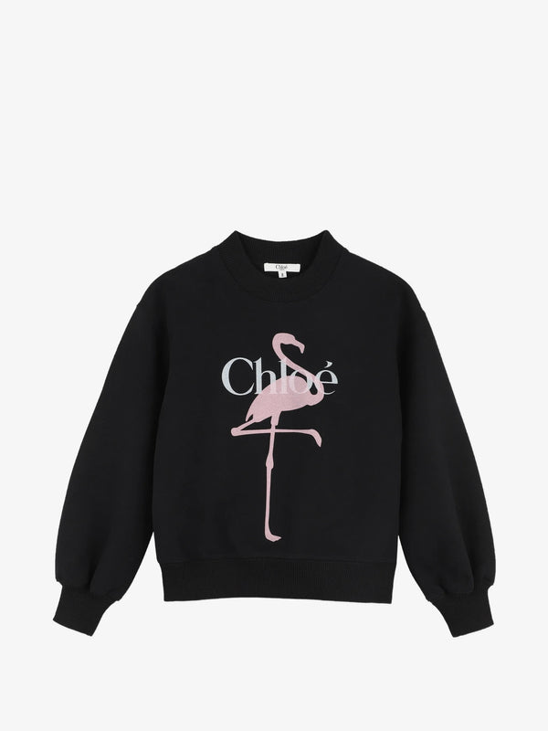 Flamingo Sweatshirt