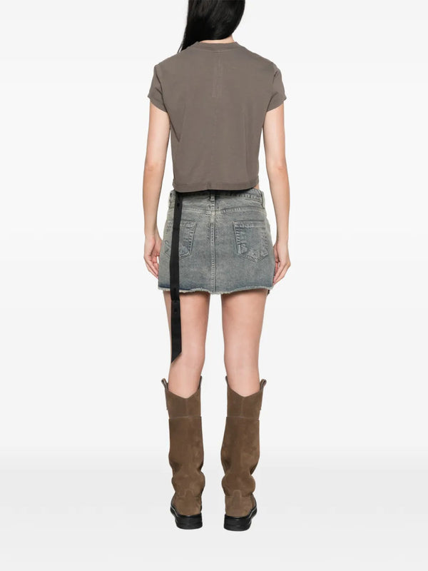 Cropped small level t