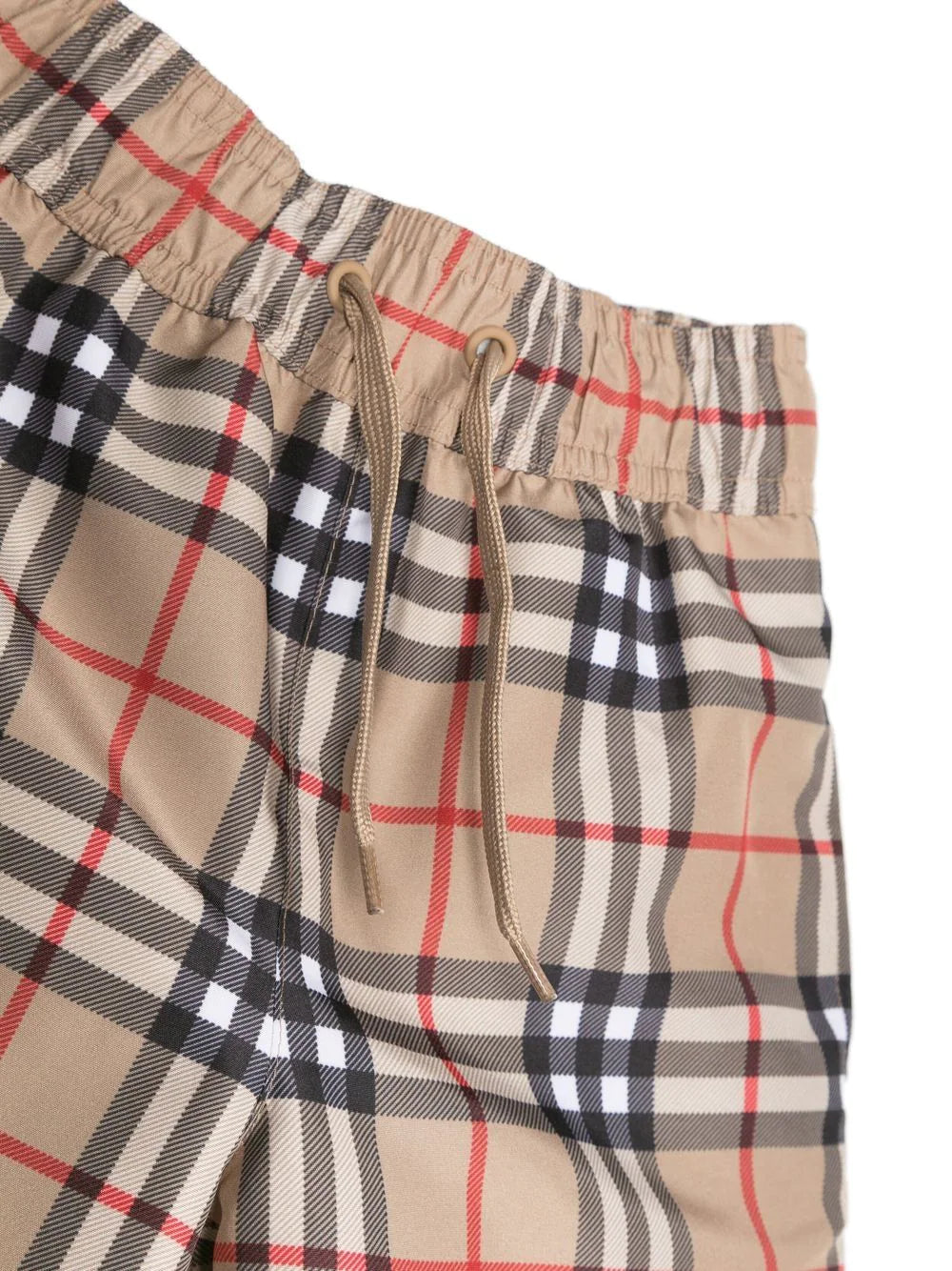 Vintage Check Swim Shorts