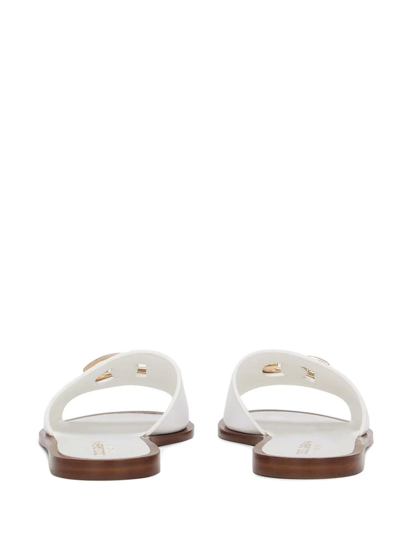 Sliders with DG logo