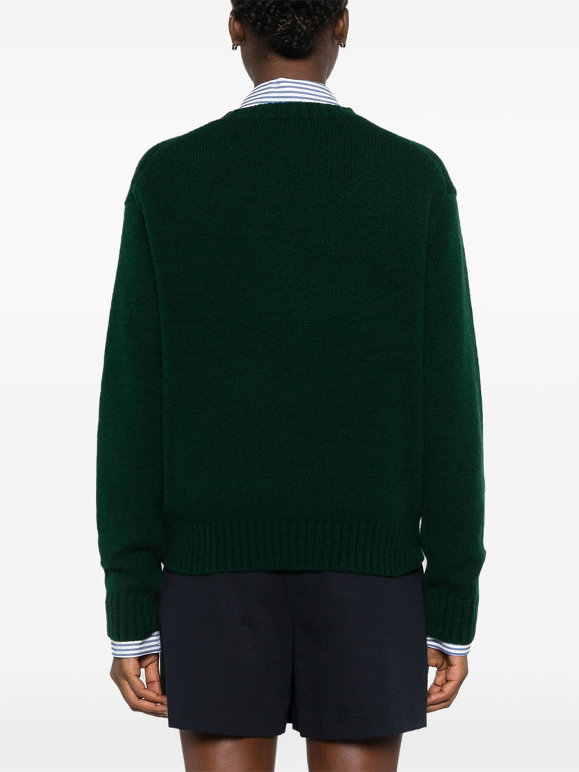 Polo Bear Jumper
