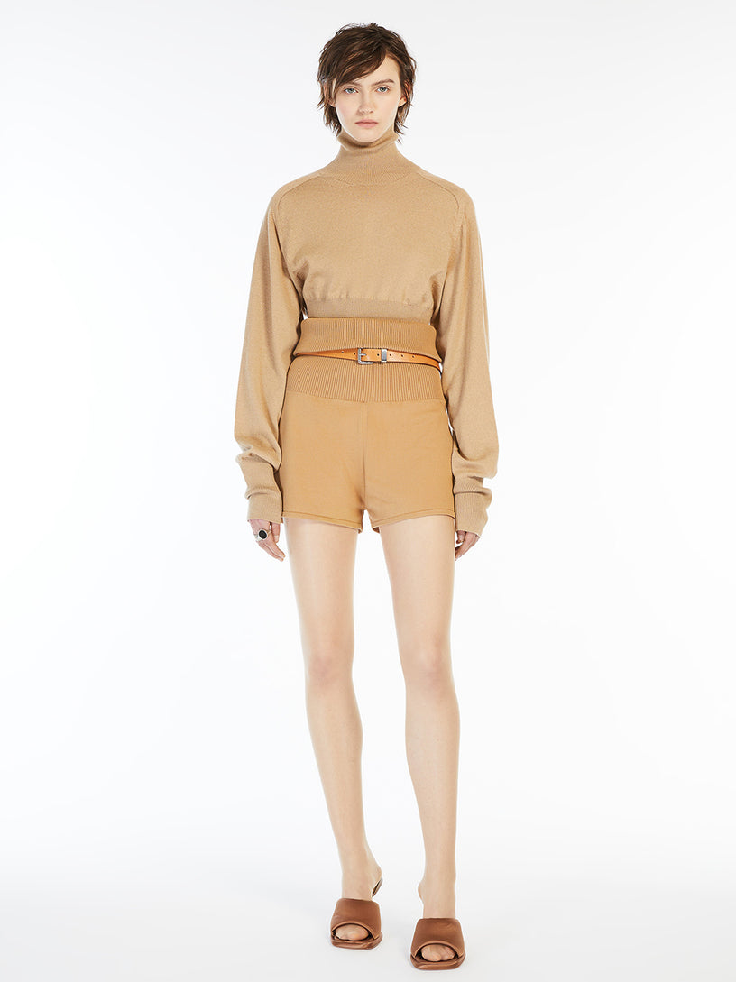 Howling cropped turtleneck sweater
