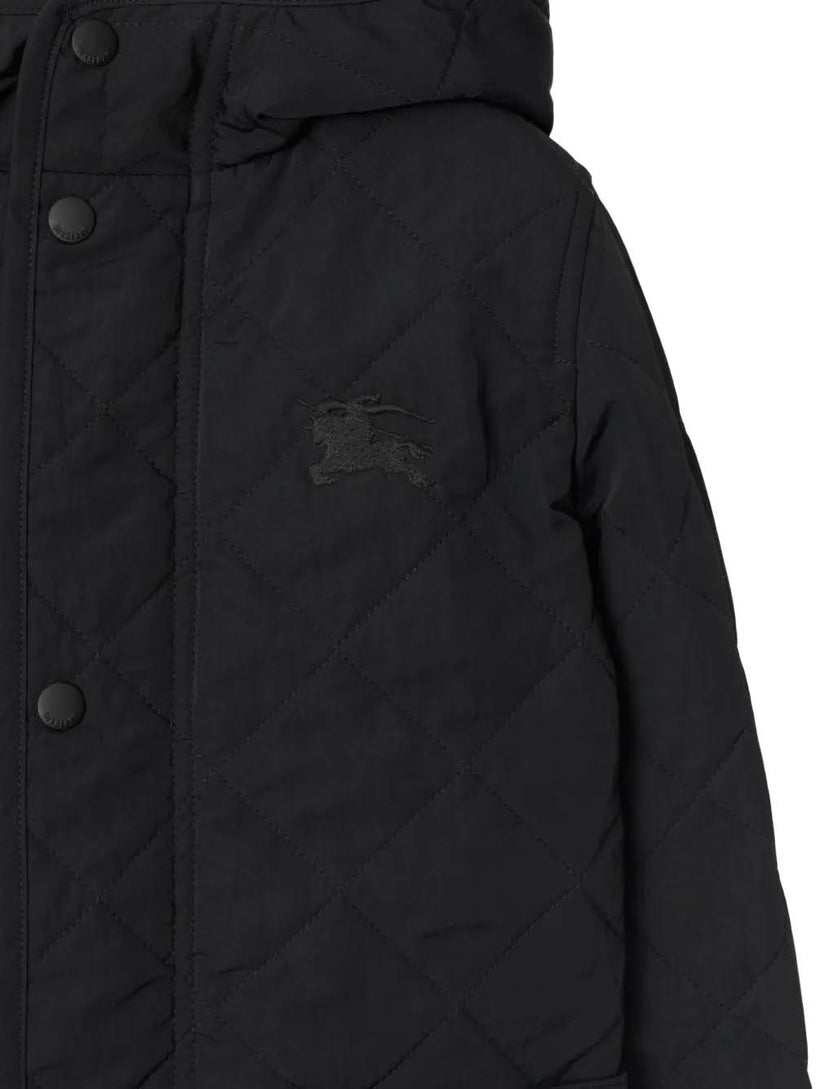 Quilted nylon coat with hood
