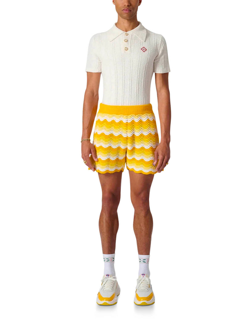 Wavy Gradient Crochet Shorts