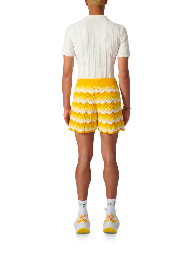 Wavy Gradient Crochet Shorts