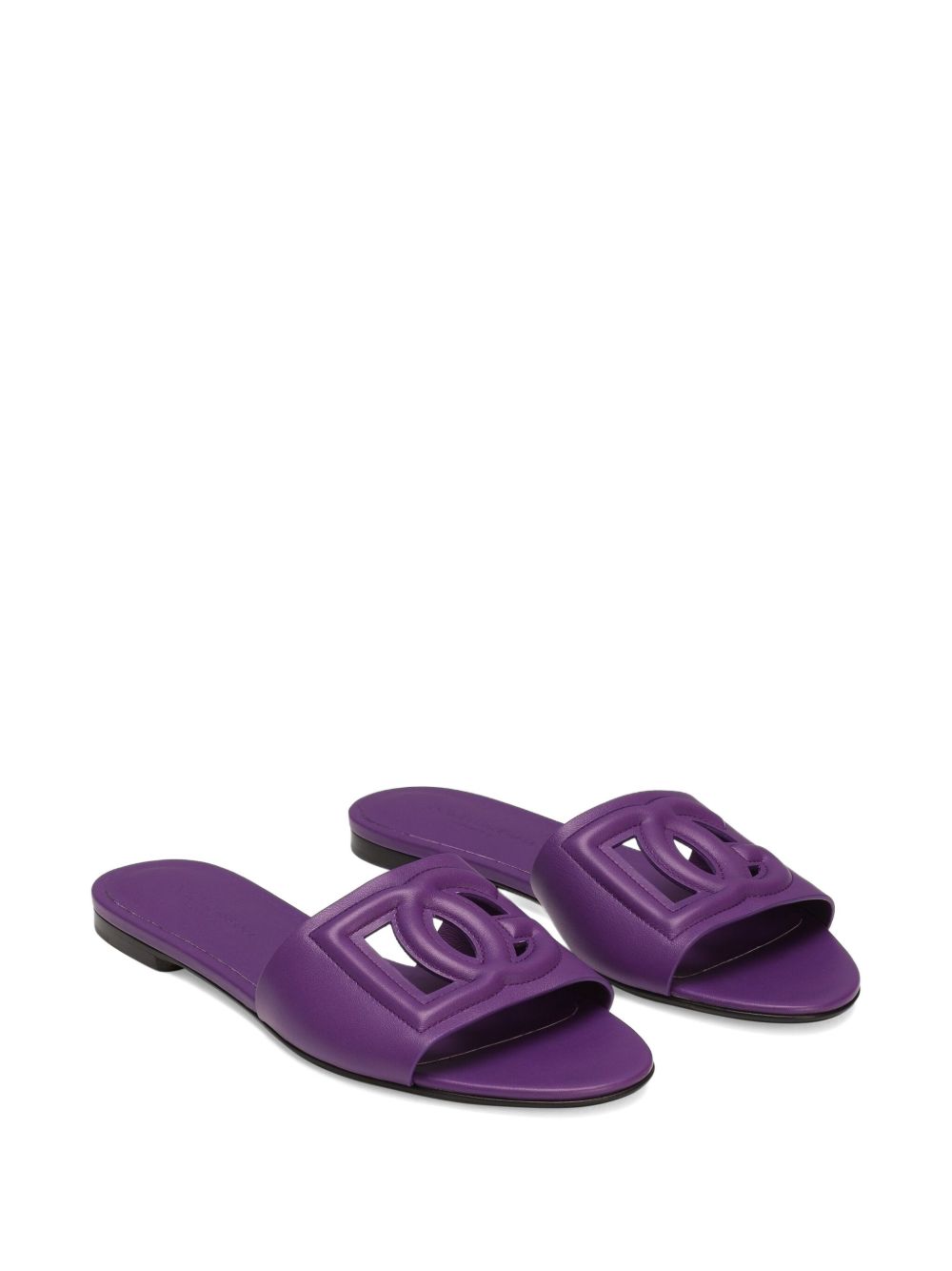 Slides with DG Millennials logo