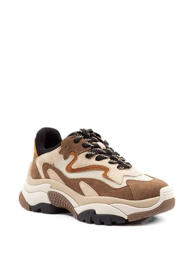 Sneakers addict 02