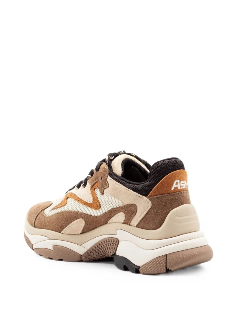Sneakers addict 02