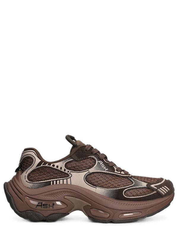 Sneakers Dragon