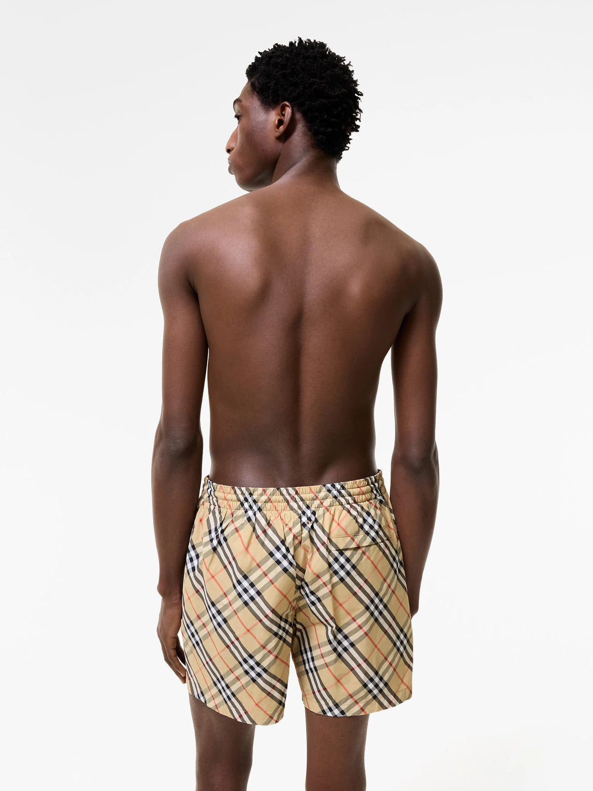 Boxer mare Check