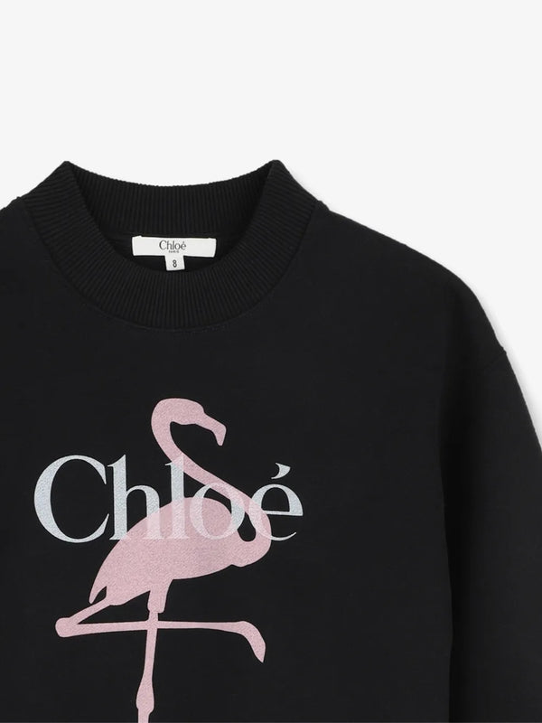 Flamingo Sweatshirt