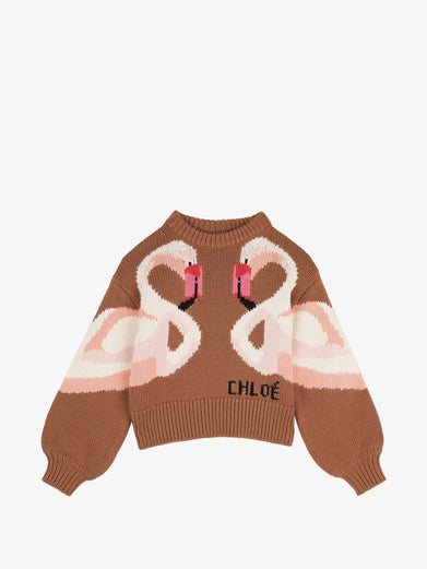 Maglione con fenicotteri
