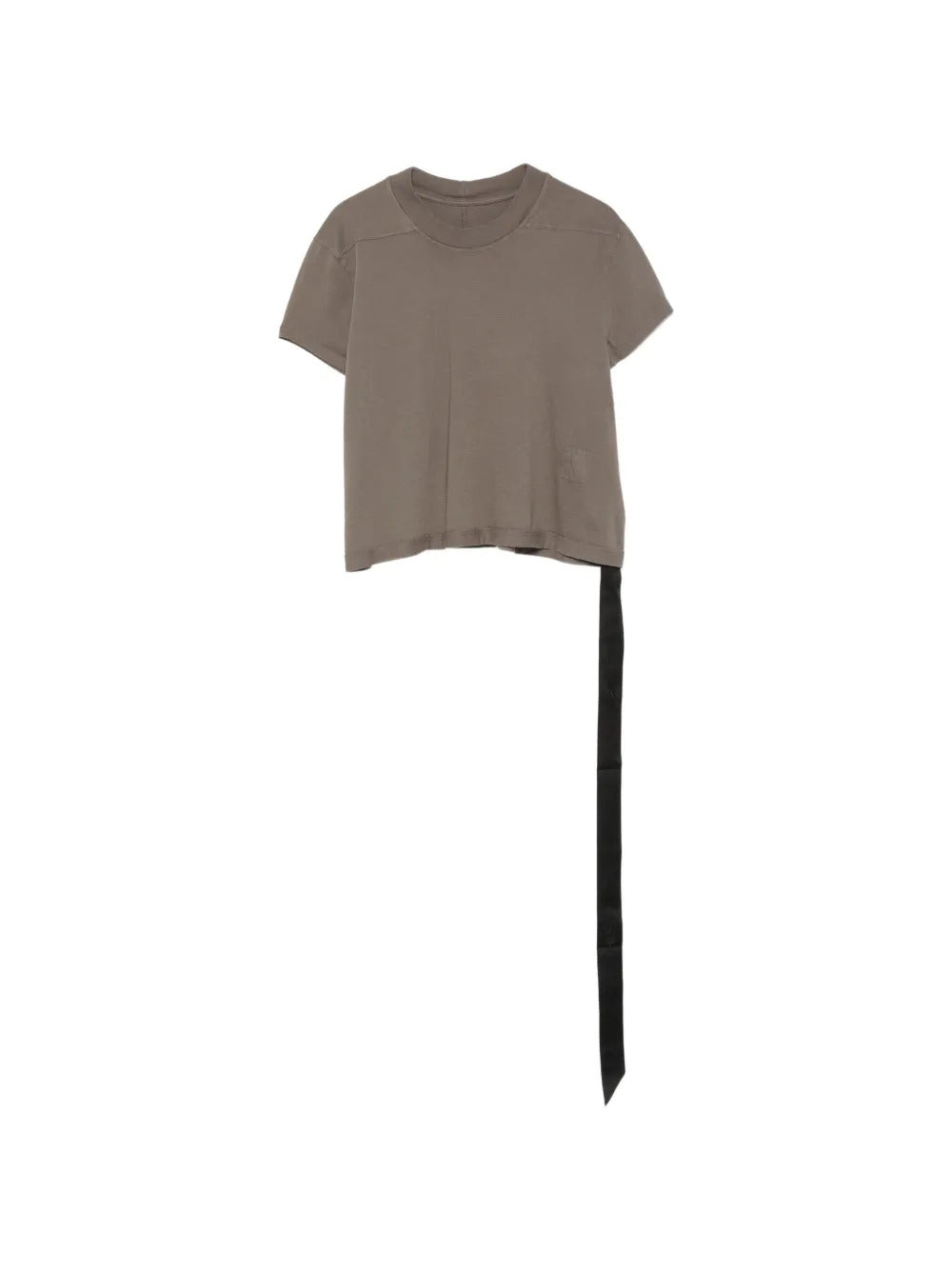 Cropped small level t