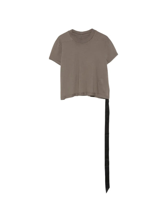 Cropped small level t