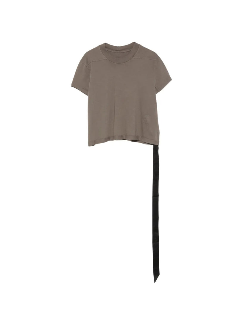 Cropped small level t