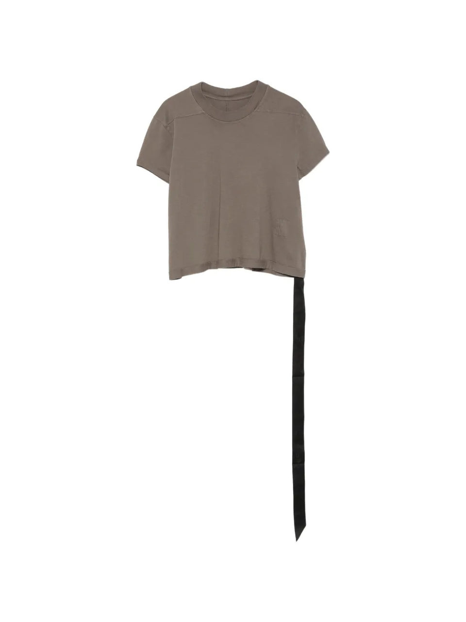 Cropped small level t