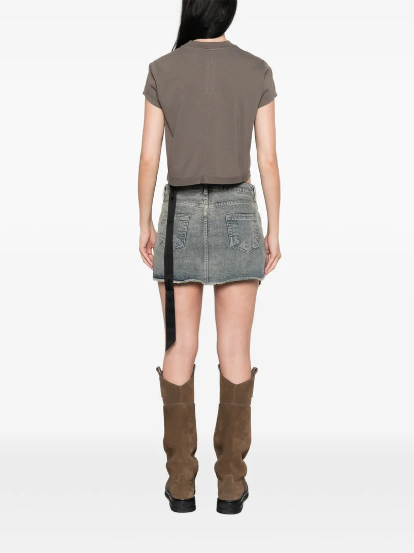Cropped small level t
