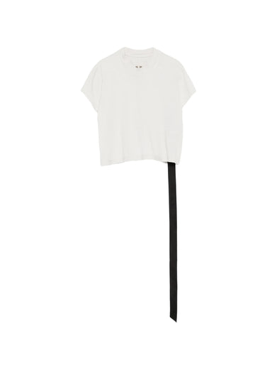 Cropped small level t