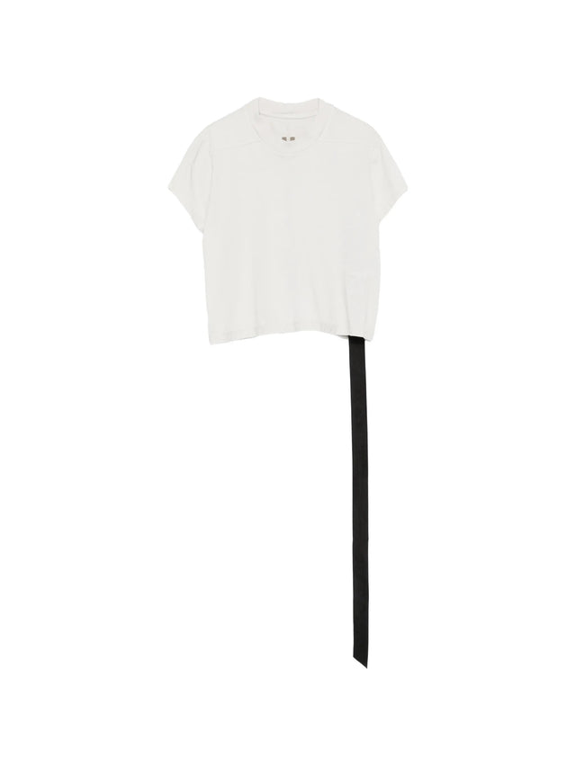 Cropped small level t