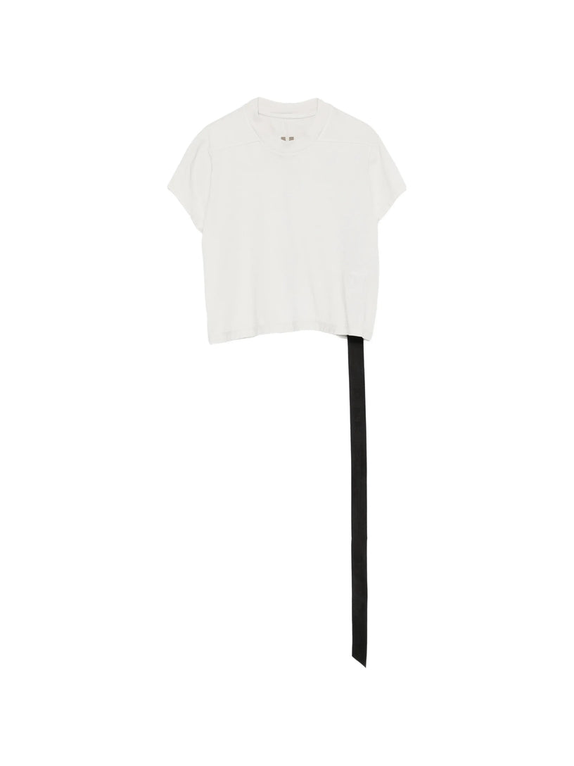 Cropped small level t