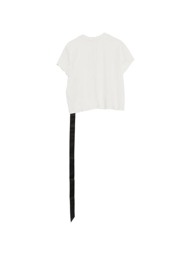 Cropped small level t