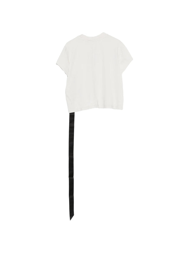 Cropped small level t