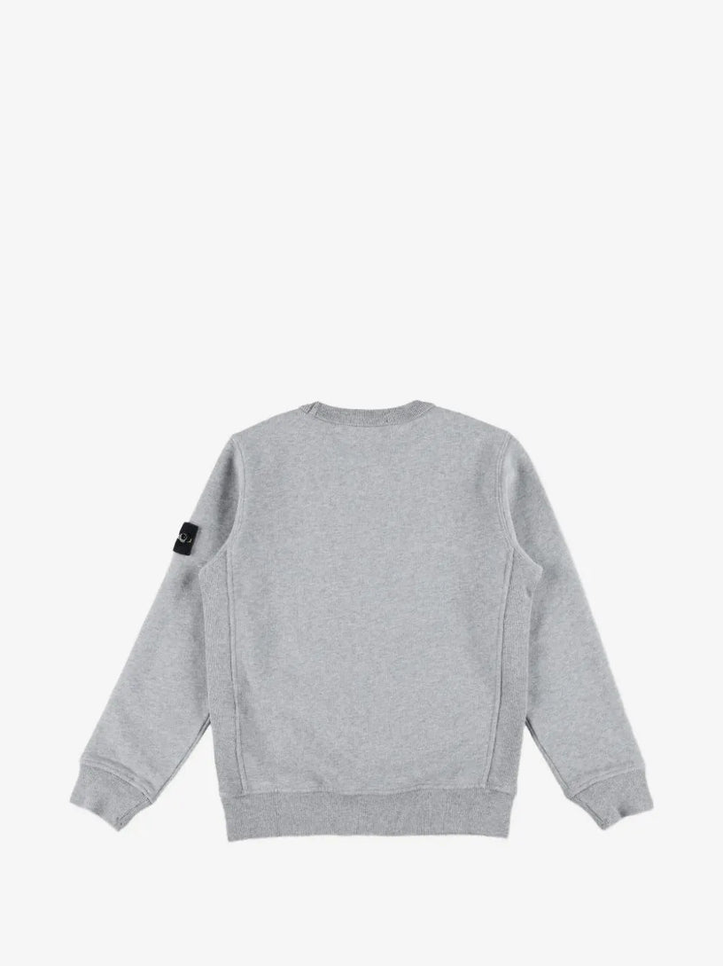 Felpa 6100002