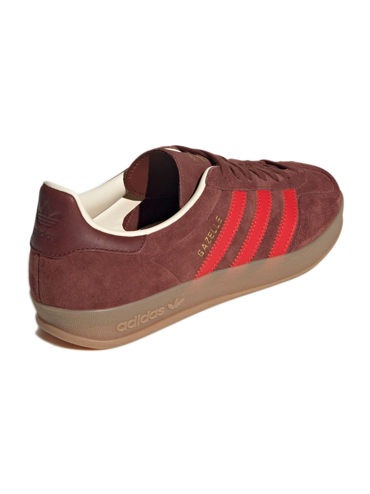 Gazzelle indoor