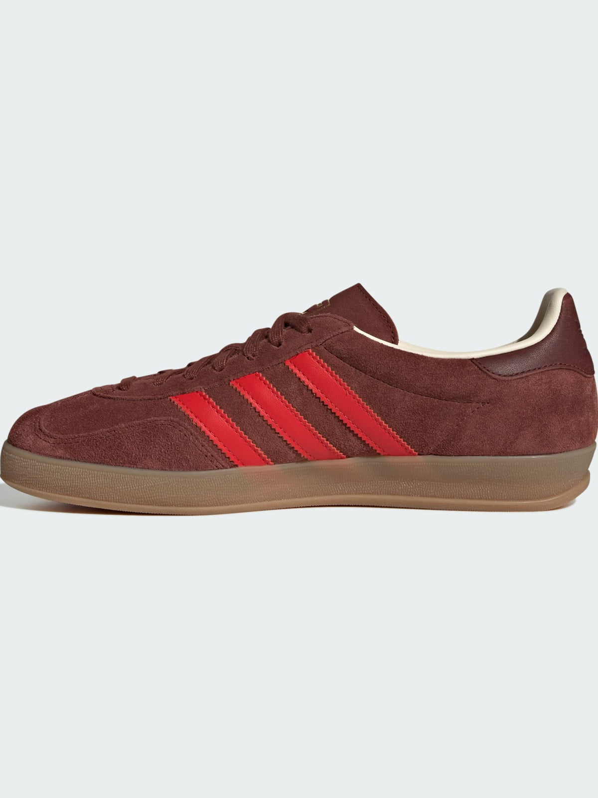Gazzelle indoor