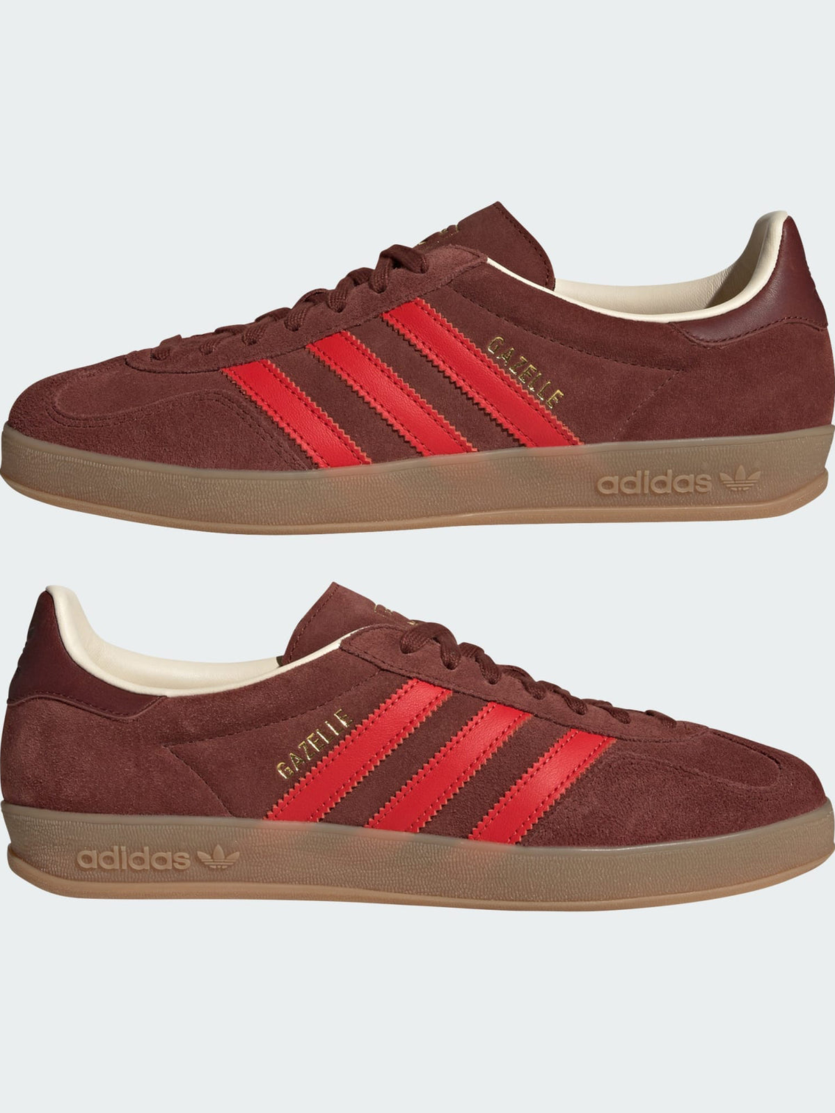 Gazzelle indoor