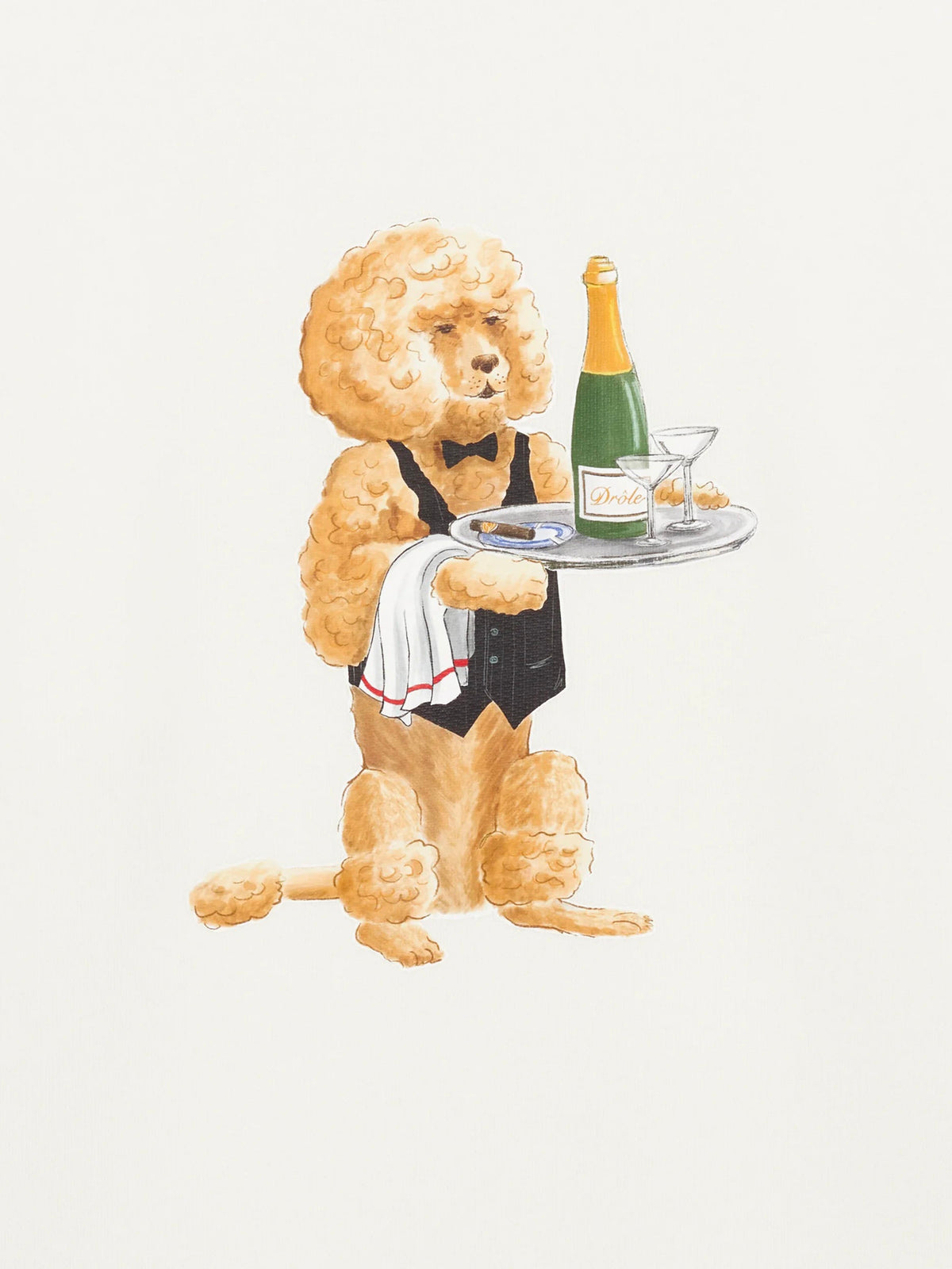 Le Sweatshirt Poodle.