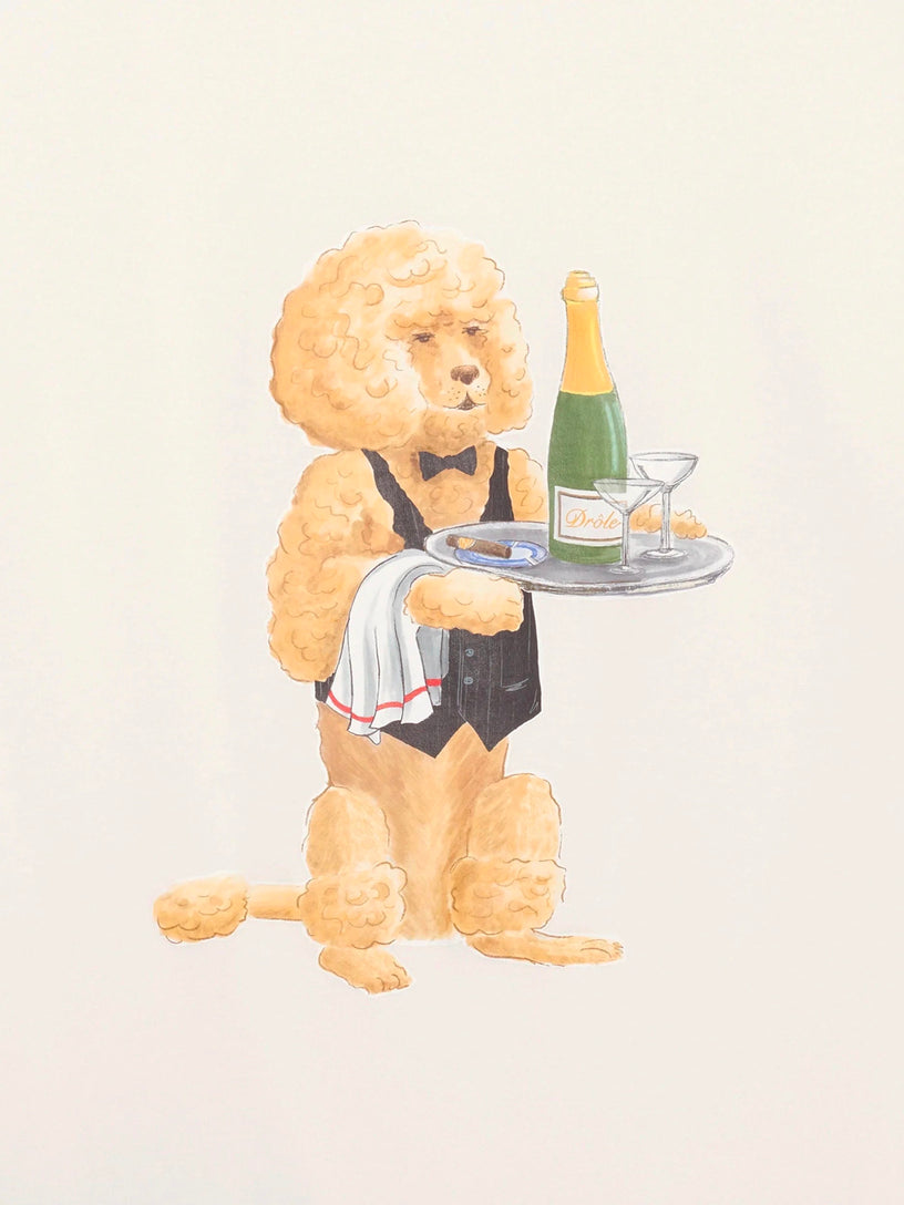 Le T-Shirt Poodle