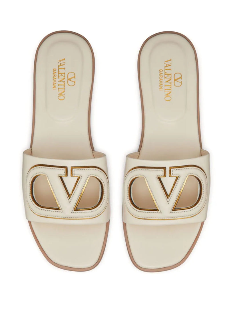 VLogo cut-out slides