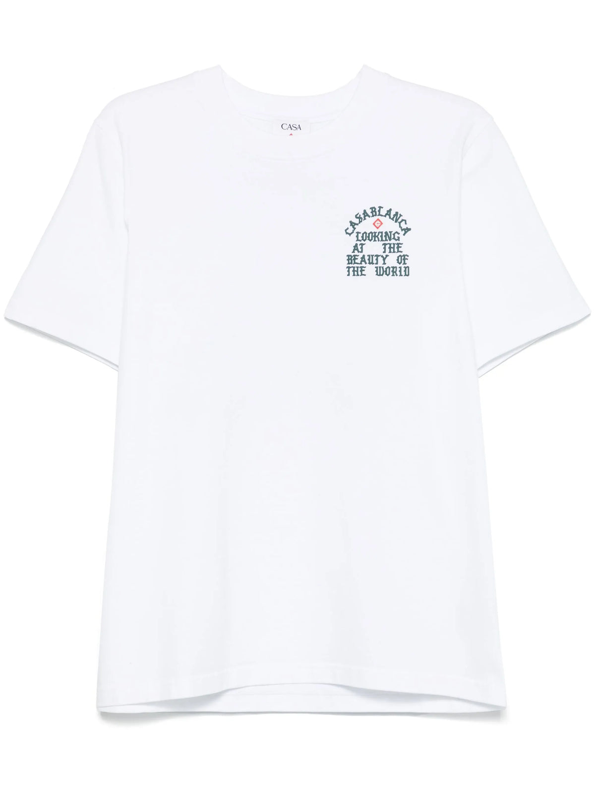 Looking at the beauty of the world t-shirt
