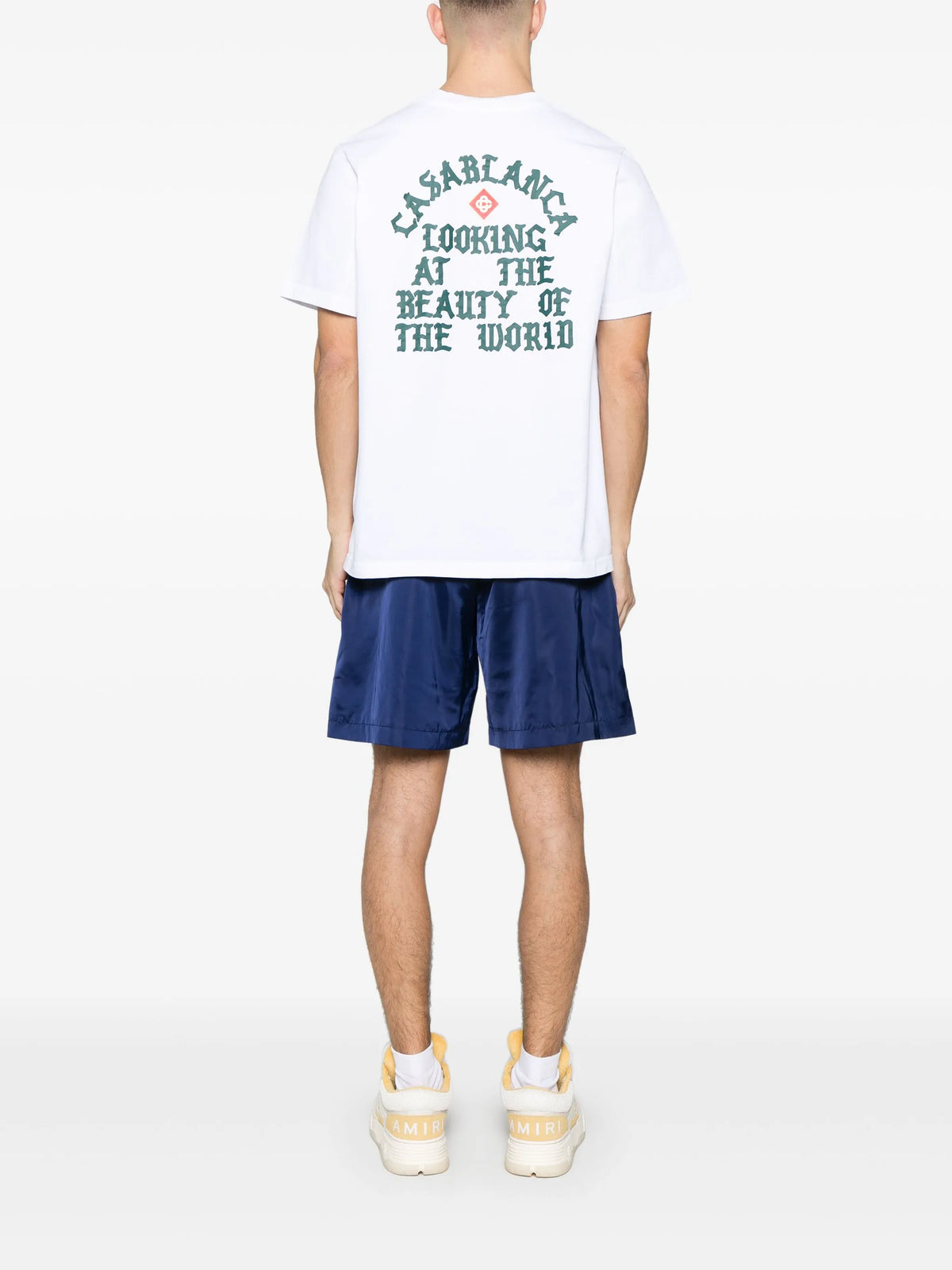 Looking at the beauty of the world t-shirt