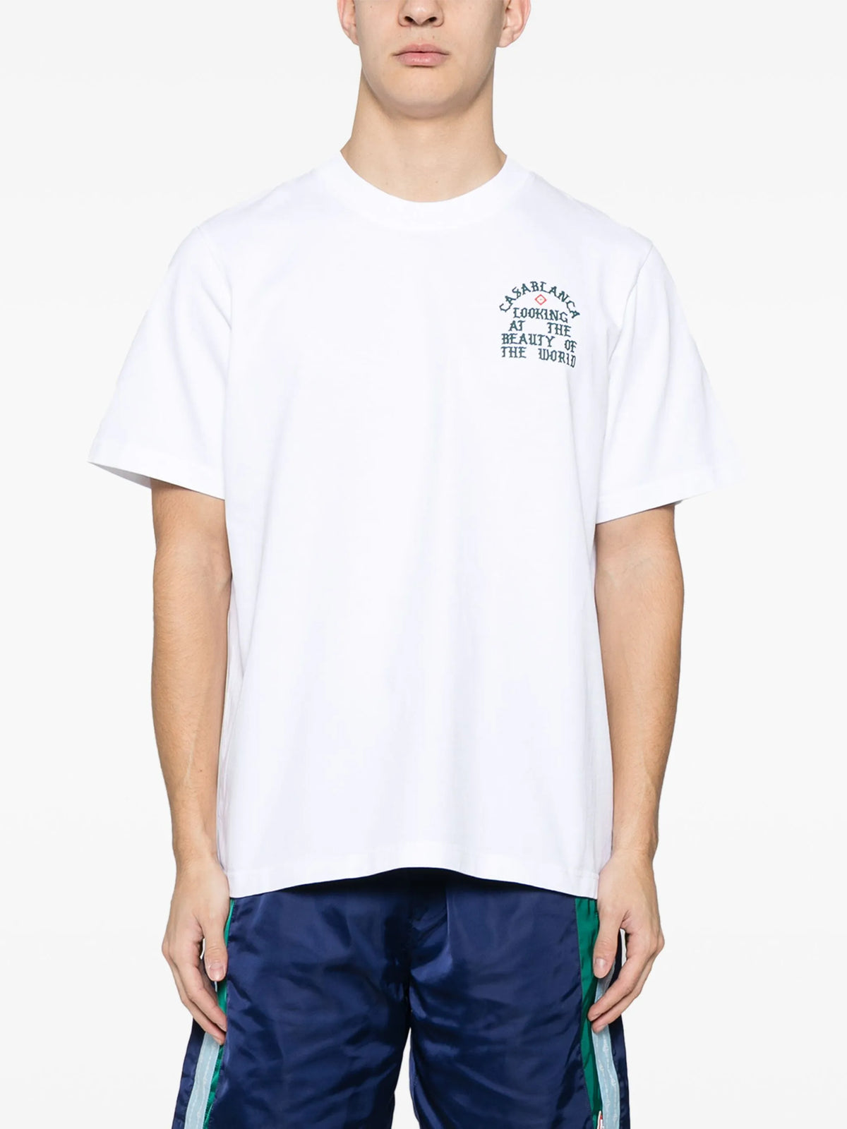 Looking at the beauty of the world t-shirt