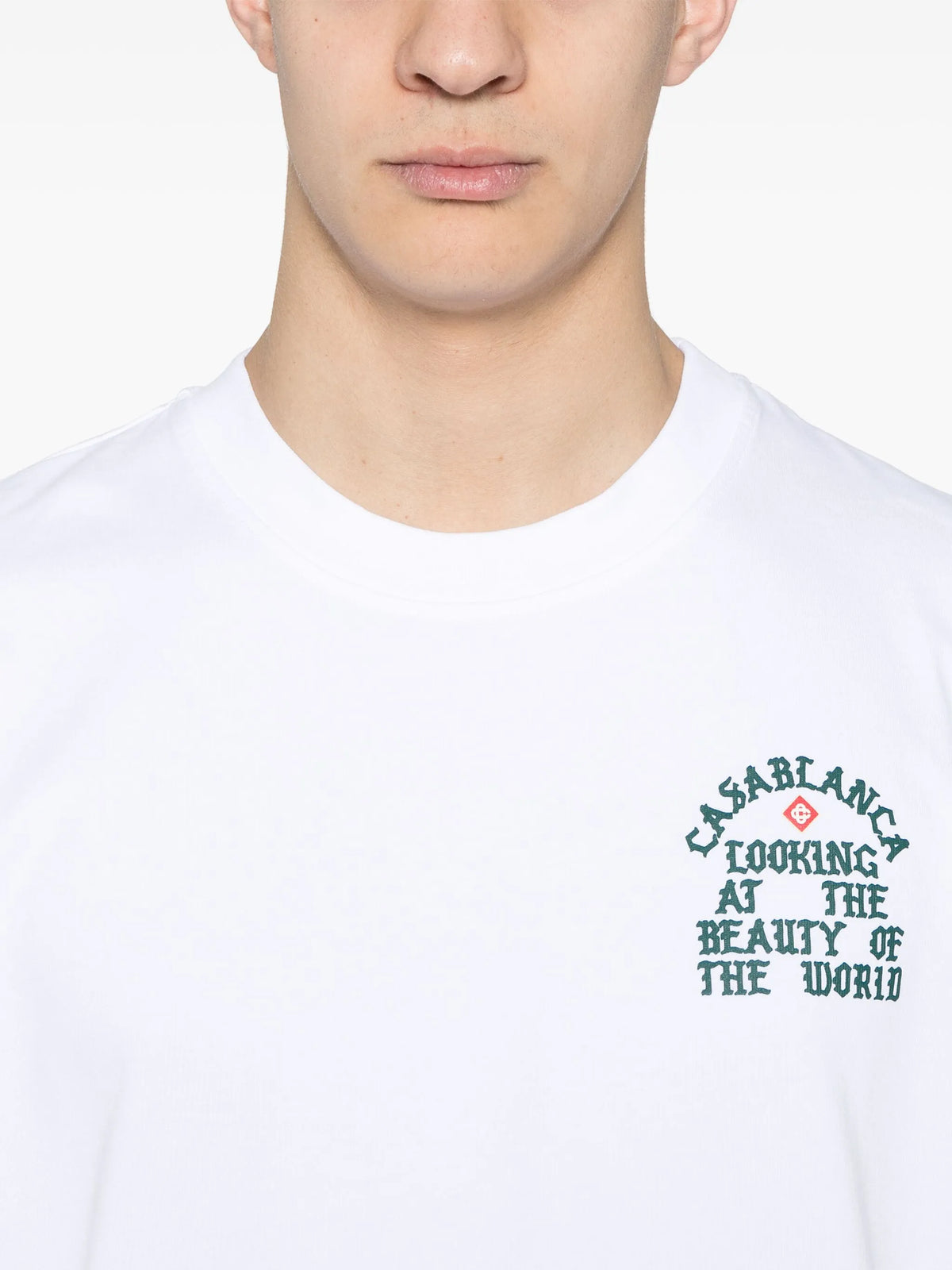 Looking at the beauty of the world t-shirt