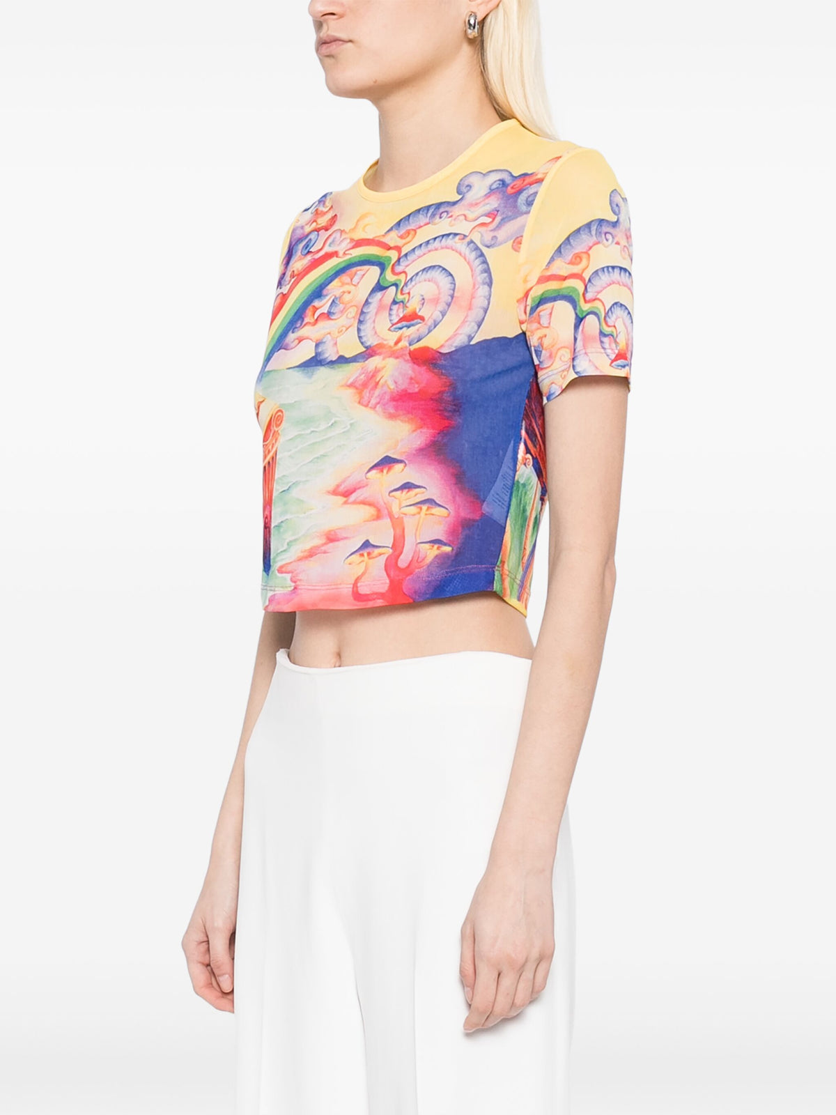 Mesh Top