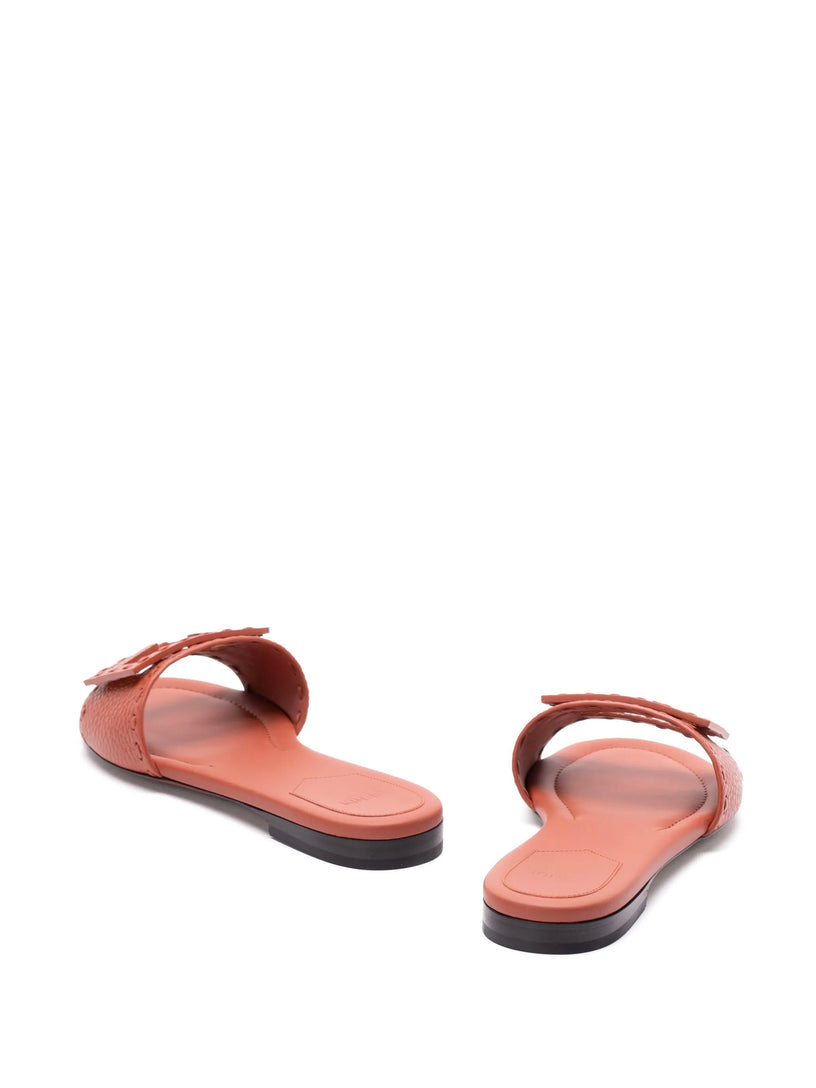Baguette Slides