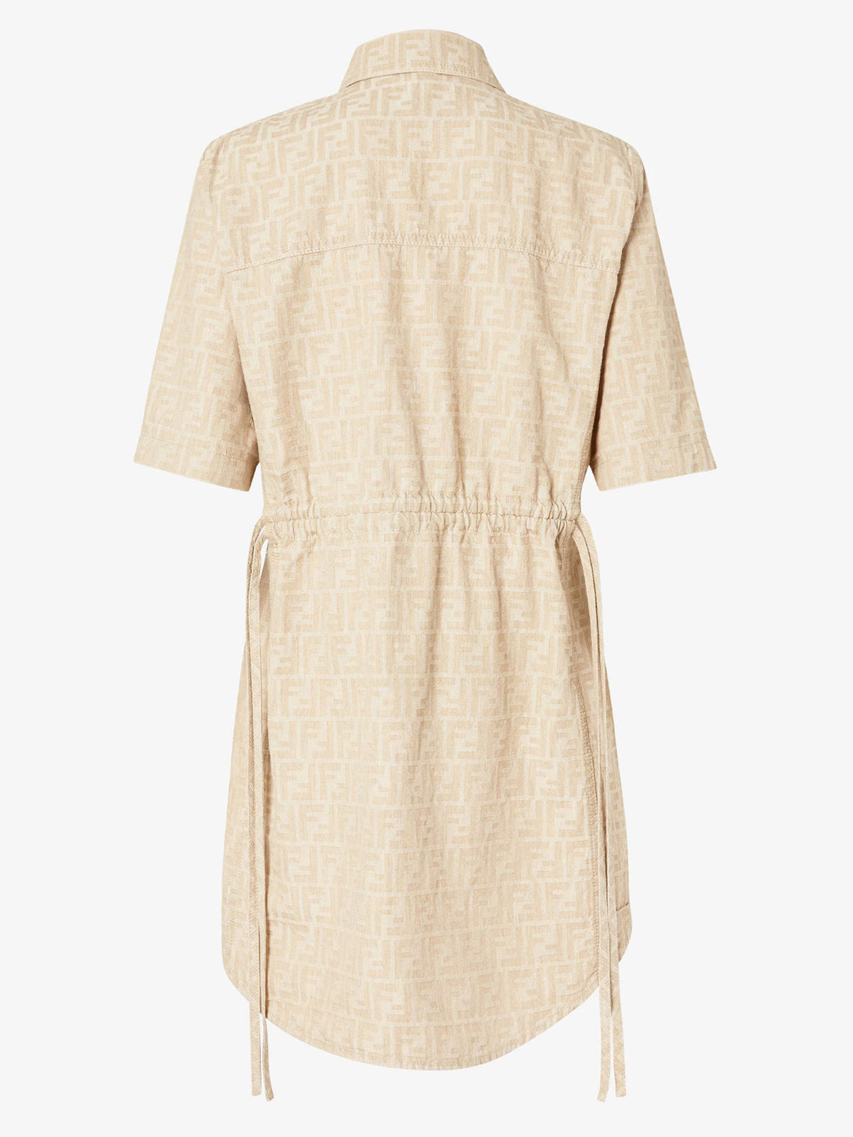 FF Chambray Dress