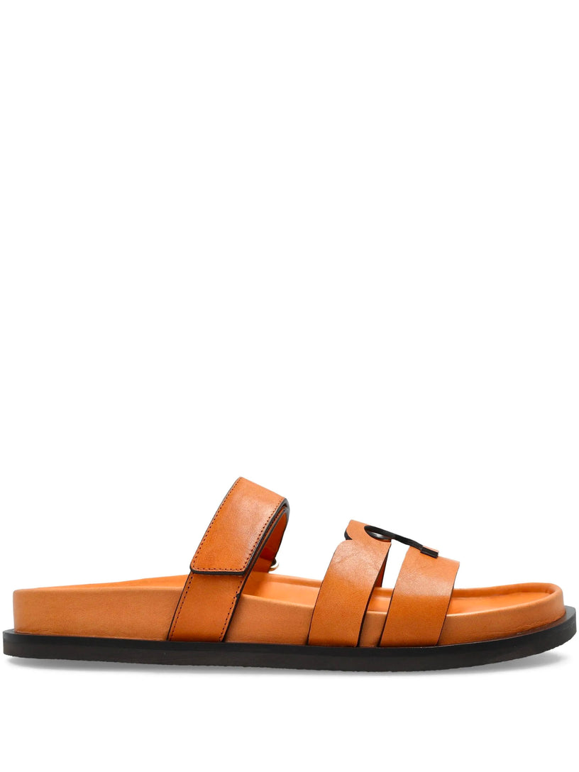 Ines sports slides