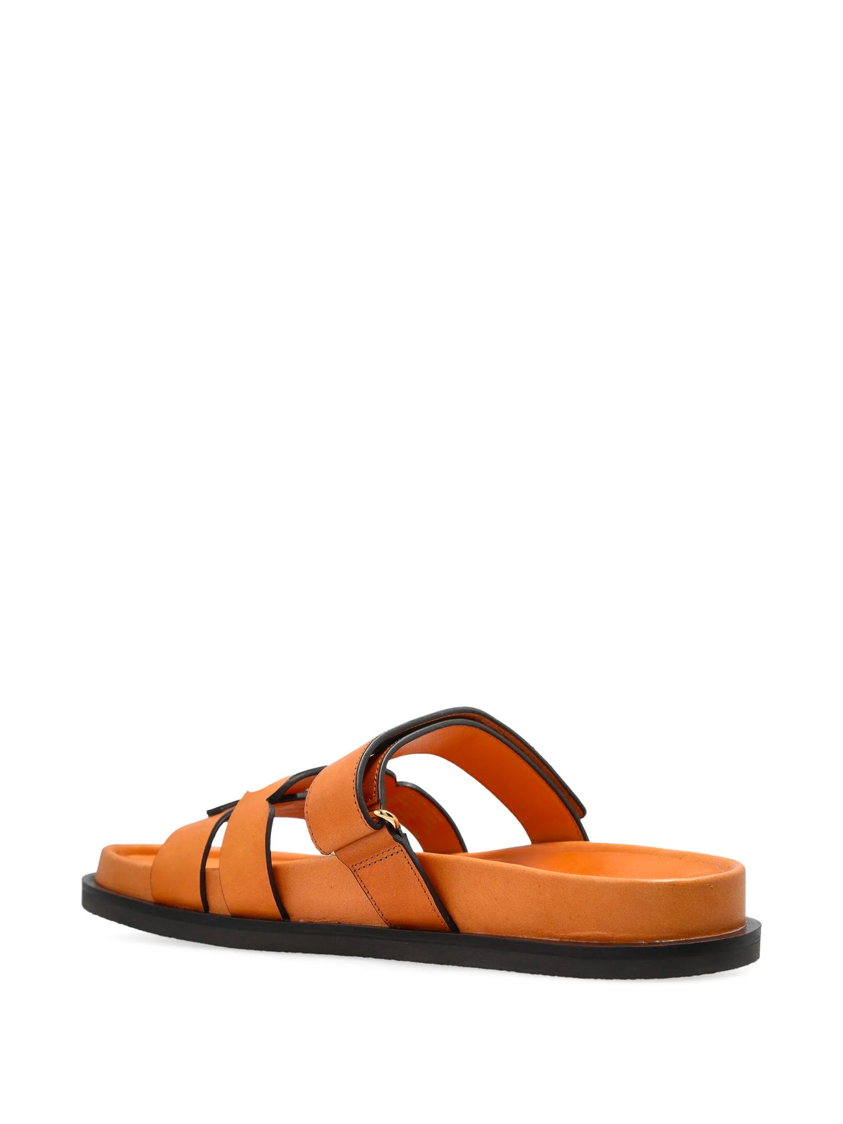 Ines sports slides