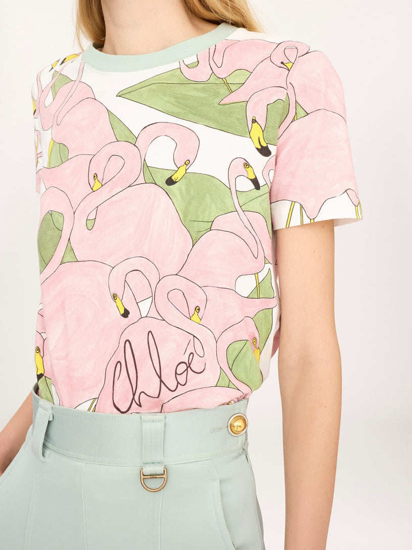 Baby fit T-shirt with logo in cotton jersey