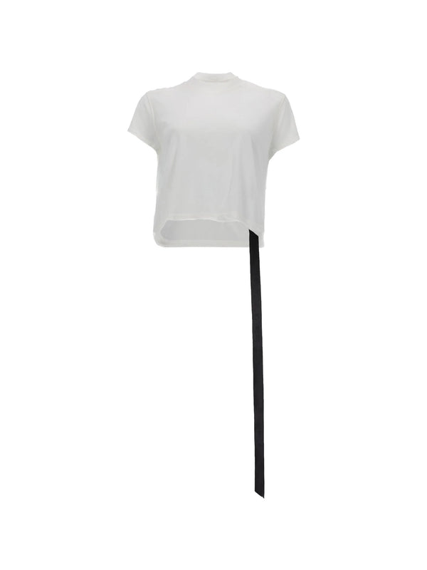 Cropped small level t